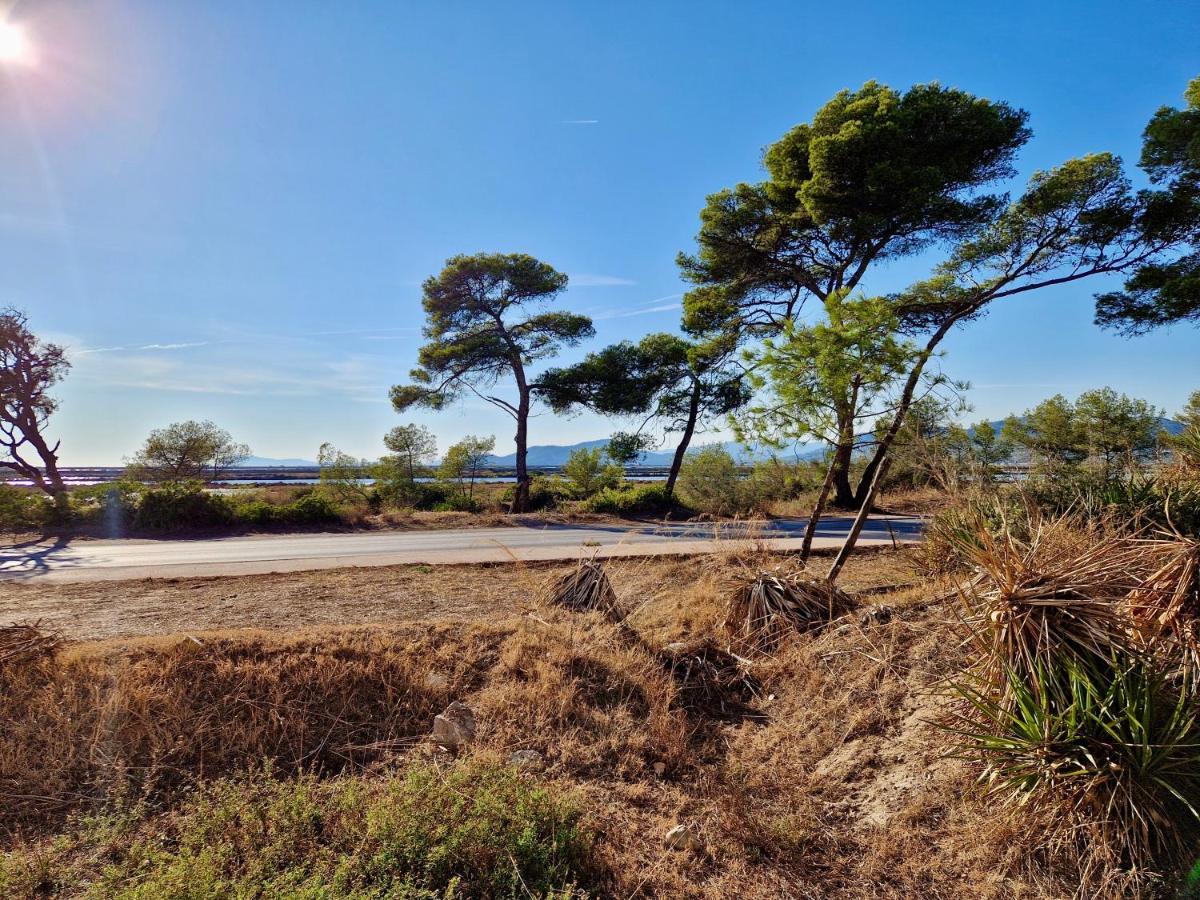 Les Flamants Roses De La Capte T3 Hyères Esterno foto